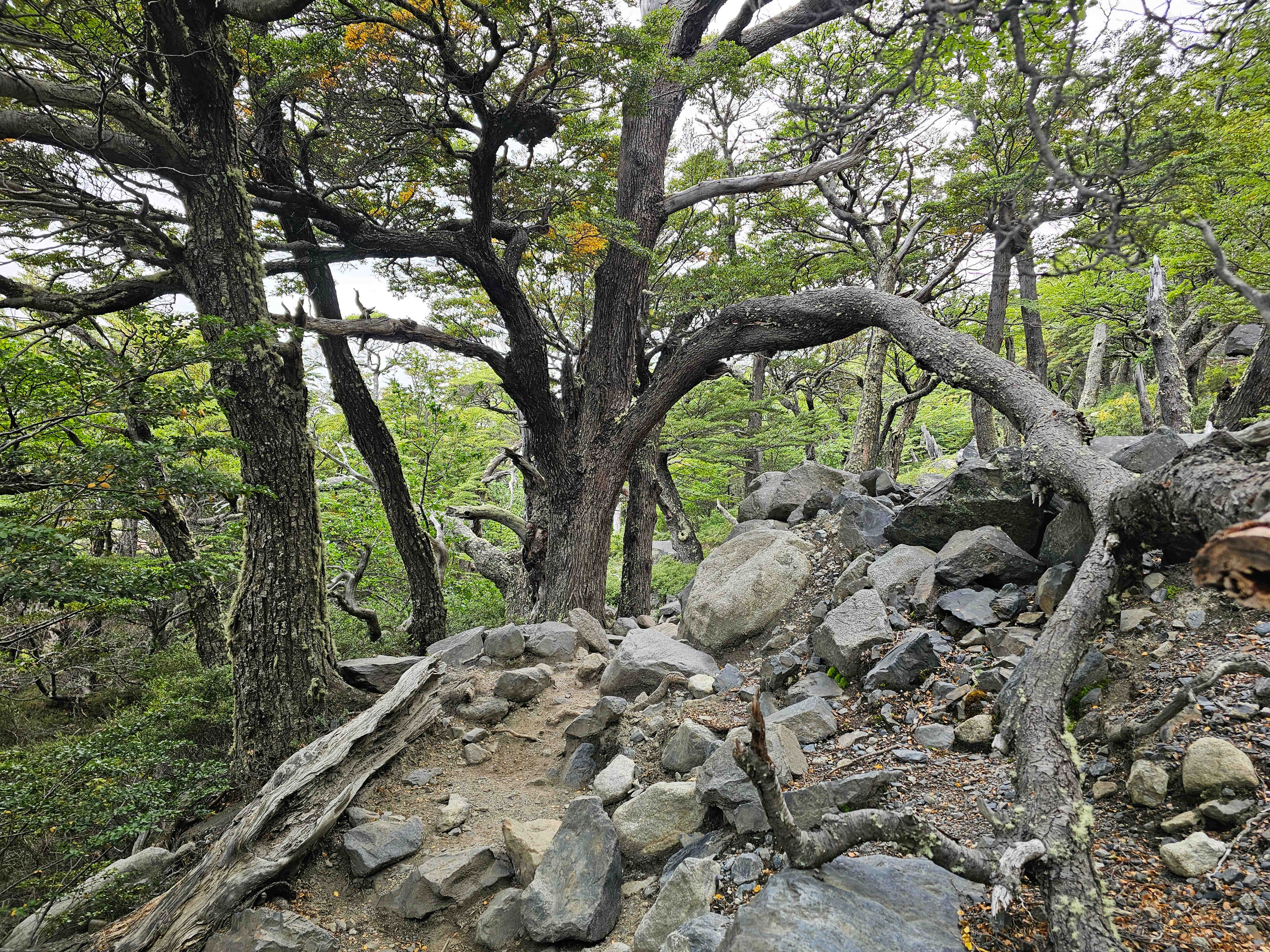 Torres del Paine
